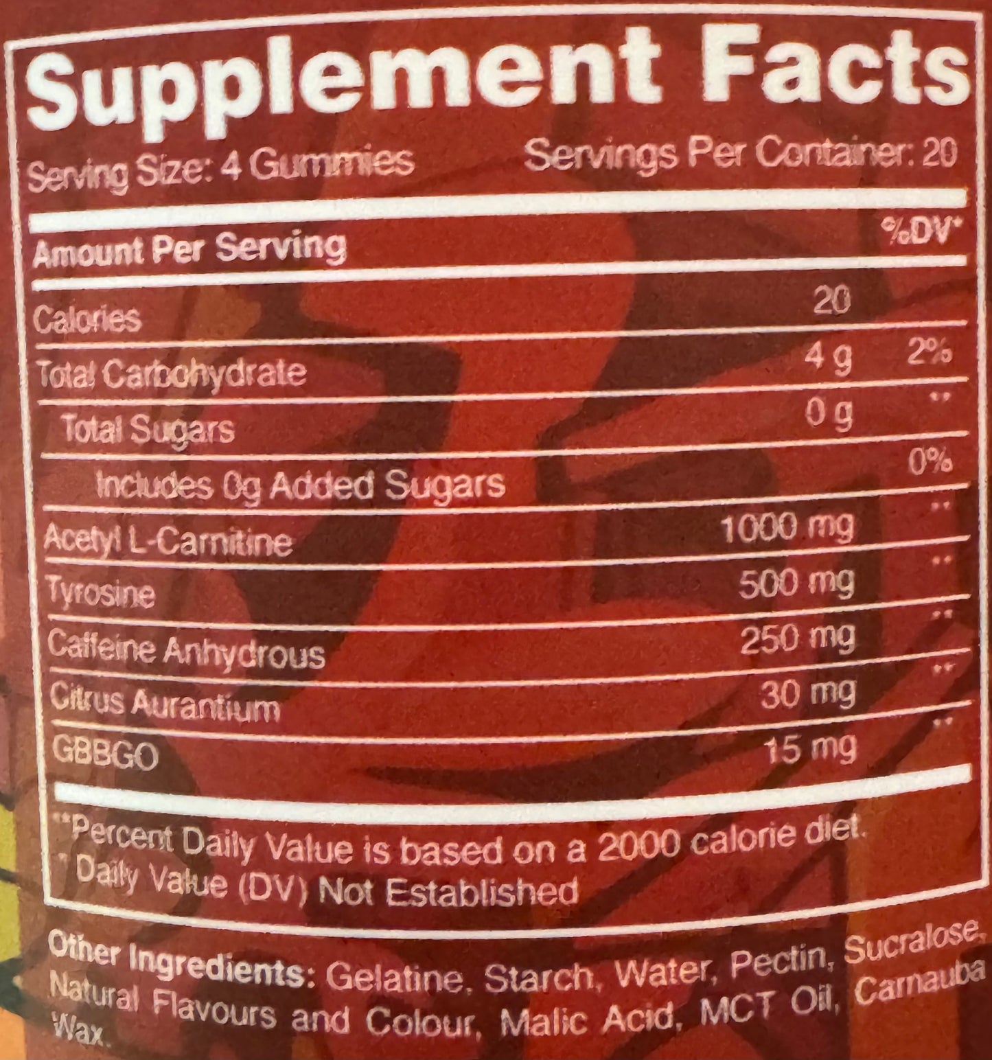 Thermo Bears - HD Supplements Australia